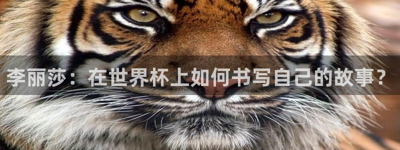 世界杯2026比赛时间表：李丽莎：在世界杯上如何书写自己的故事？