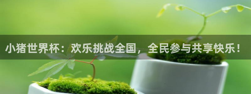 2026世界杯官网：小猪世界杯：欢乐挑战全国，全民参与共享快乐！