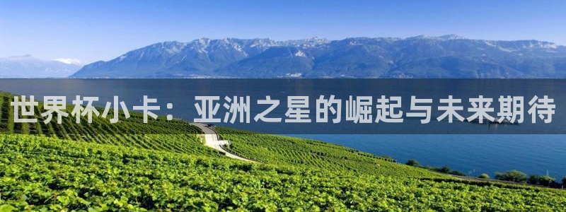 2026足球世界杯赛程：世界杯小卡：亚洲之星的崛起与未来期待