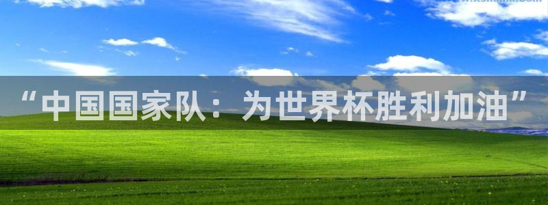 2026世界杯官网：“中国国家队：为世界杯胜利加油”