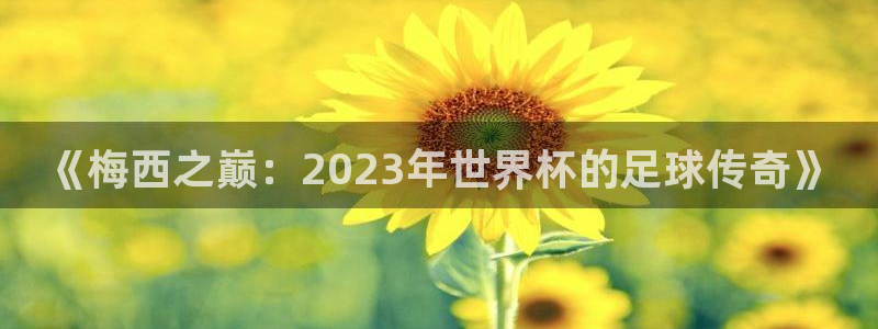 2026足球世界杯：《梅西之巅：2023年世界杯的足球传奇》