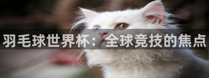 世界杯亚洲预选赛18强赛程：羽毛球世界杯：全球竞技的焦点