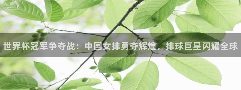 世界杯 直播：世界杯冠军争夺战：中国女排勇夺辉煌，排球巨星闪耀全球