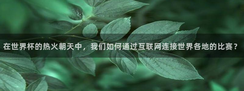 世界杯亚洲区预选赛积分榜：在世界杯的热火朝天中，我们如何通过互联网连接世界各地的比赛？