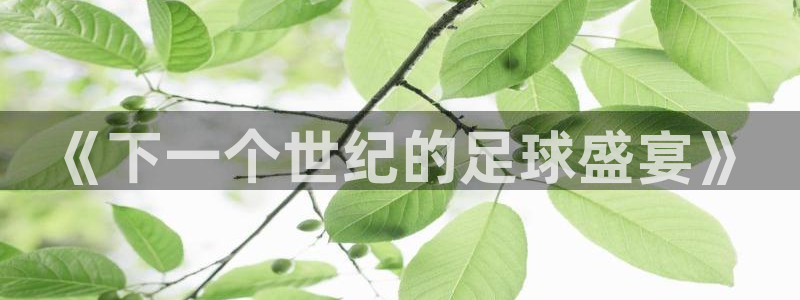 2026足球世界杯赛程时间表：《下一个世纪的足球盛宴》