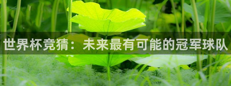 2026足球世界杯赛程：世界杯竞猜：未来最有可能的冠军球队