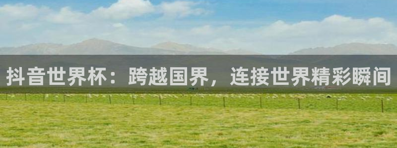 2006年世界杯冠军：抖音世界杯：跨越国界，连接世界精彩瞬间