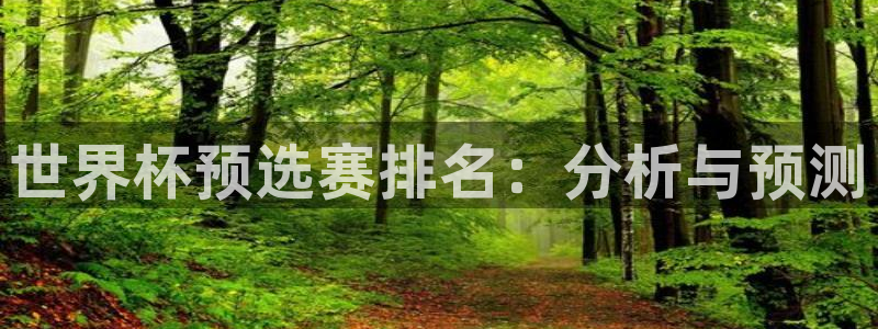 世界杯预选赛赛程：世界杯预选赛排名：分析与预测