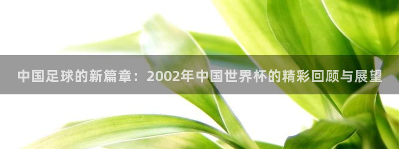 世界杯欧洲预选赛：中国足球的新篇章：2002年中国世界杯的精彩回顾与展望