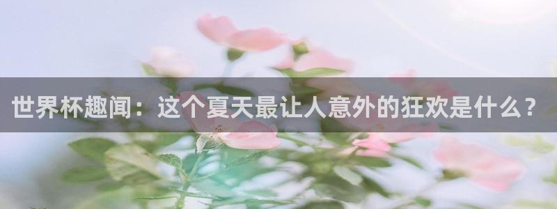 2026世界杯：世界杯趣闻：这个夏天最让人意外的狂欢是什么？